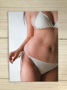 . cape love [ thick laminate processing ] photoalbum scraps roli.. bikini model B5 8 page LS6506