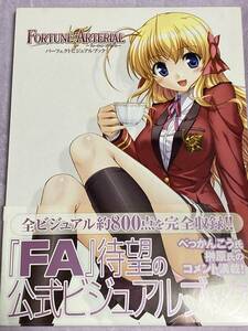 FORTUNE ARTERIAL　パーフェクトビジュアルブック