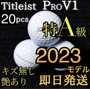 ★特A級★2023モデル タイトリスト Titleist PROV1 20球 ゴルフボール ★ロストボール プロV1 