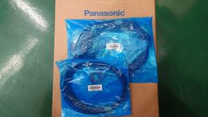 Panasonic