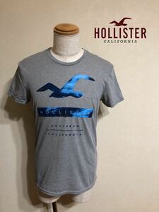 HOLLISTER ホリスター ビッグロゴ クルーネック Tシャツ トップス サイズS 半袖 グレー 175/92Y