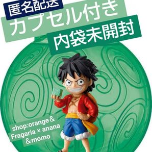 ワンピの実 オデッセイ ルフィカプセル付き