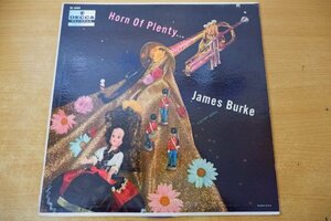 Z3-038＜LP/US盤＞James Burke / Horn Of Plenty