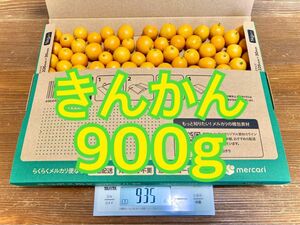 キンカン　金柑　無農薬　900g　【翌日7:00収穫予定】