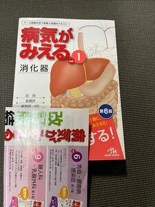 病気がみえる　見える 消化器