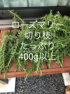 ローズマリー 無農薬 切り枝　匿名配送　400g