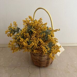 アラログ バスケット カゴ 小物入れ ミモザドライフラワー 花器