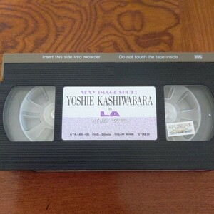 柏原芳恵 VHS