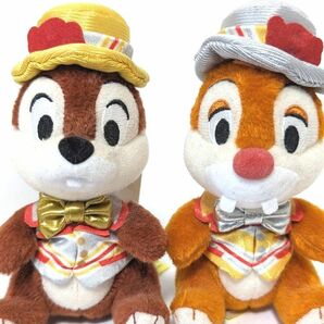 チップとデール　ハピネスイズヒア　ぬいぐるみバッジ ディズニー TDS