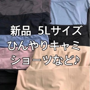 新品☆5L 超冷感!ひんやりキャミやショーツ等☆m471