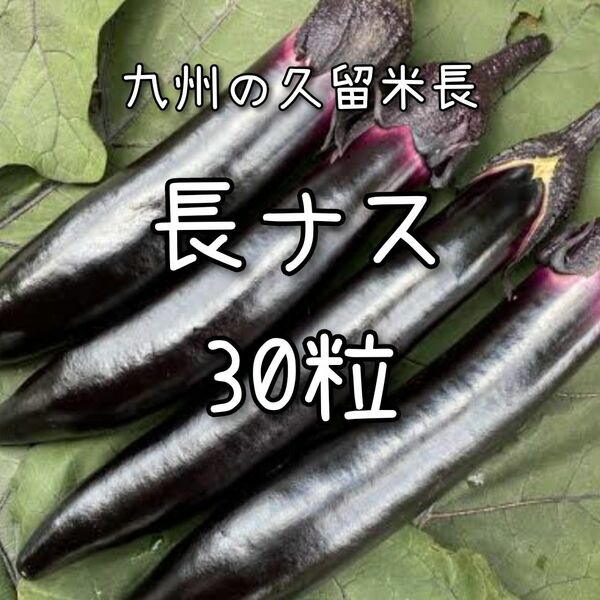 【長ナスのタネ】30粒 なす 茄子 夏野菜 久留米長 家庭菜園