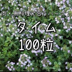 【タイムのタネ】100粒 種子 種 ハーブ 家庭菜園