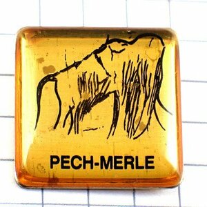 ピンバッジ・先史時代の絵ペシュメルルの洞窟◆フランス限定ピンズ◆レアなヴィンテージものピンバッチ