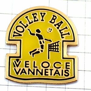  pin badge * volleyball player attack * France limitation pin z* rare . Vintage thing pin bachi