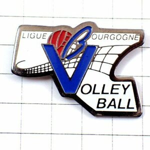  pin badge * volleyball VB net . lamp * France limitation pin z* rare . Vintage thing pin bachi