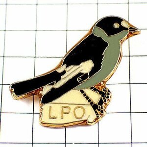  pin badge * black . small bird LPO* France limitation pin z* rare . Vintage thing pin bachi