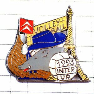  pin badge * Citroen car eferu.inosisi. volleyball lamp boat boat * France limitation pin z* rare . Vintage thing pin bachi