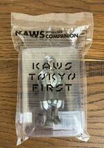 送料無料 KAWS × Medicom Toy #7 Companion “Blush”/ KAWS ACCOMPLICE KEYHOLDER “Pink”/ KAWS COMPANION KEYHOLDER “Brown”/セット_画像9