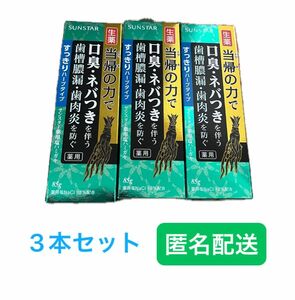 当帰の力 薬用 塩ハミガキ すっきりハーブタイプ フレッシュハーブミント 85g×3本