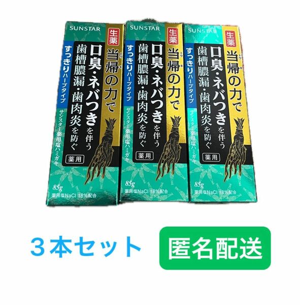 当帰の力 薬用 塩ハミガキ すっきりハーブタイプ フレッシュハーブミント 85g×3本