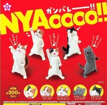 即決》ガンバレー!! NYAoooo!!【全５種フルコンプセット】送料140円～新品未開封 ねこ 猫 ネコ キャット ミケ/スコティッシュフォールド_画像1