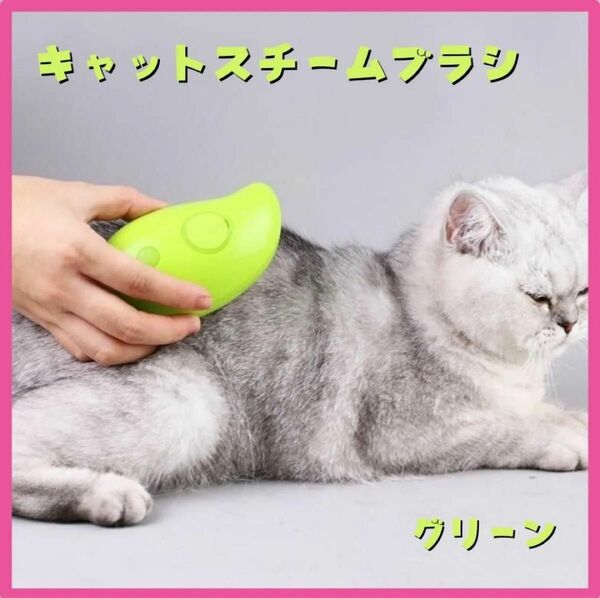 キャット スチームブラシ USB充電 マッサージ 犬 猫 ブラッシング 緑