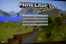 【清掃済・動作確認済】PS3 マインクラフト MINECRAFT_画像9