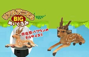 リアルアニマル　BIGぬいぐるみ　シカ　鹿　しか　単品