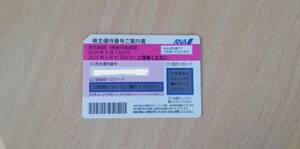 送料無料！ANA 全日空 株主優待券 1枚 最新