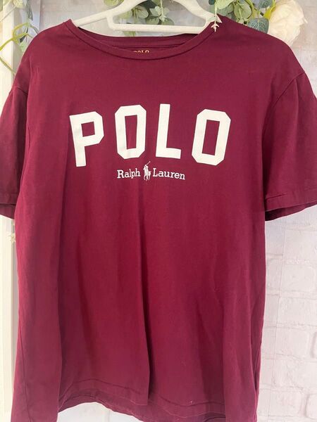 ポロラルフローレン Tシャツ L