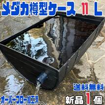 ★メダカ飼育ケース1個 樽型11Lオーバーフロー加工済★ メダカ飼育容器金魚飼育めだか飼育ビオトープゾウリムシPSB台風豪雨対策にどうぞ_画像1