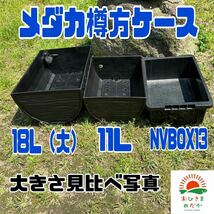 ★メダカ飼育ケース1個 樽型11Lオーバーフロー加工済★ メダカ飼育容器金魚飼育めだか飼育ビオトープゾウリムシPSB台風豪雨対策にどうぞ_画像3