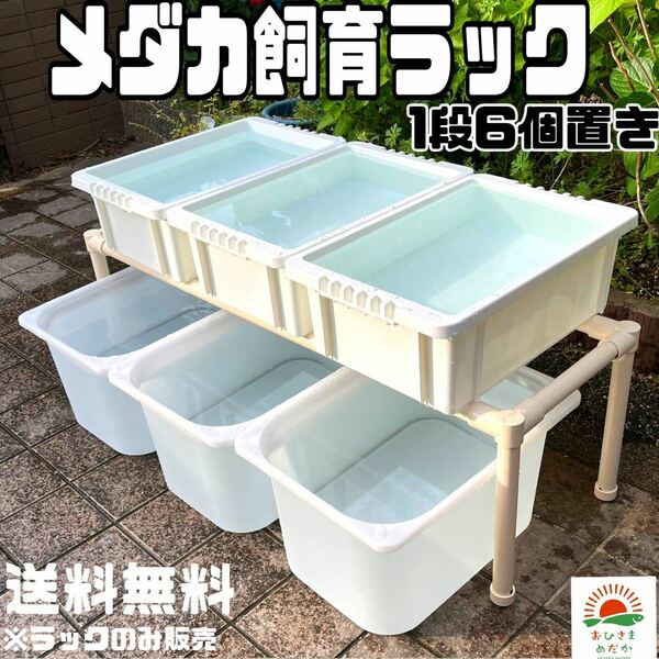 ★メダカ飼育白ラック　1段6個置き★ めだか飼育棚　容器棚　めだか容器産卵撮影ビオトープゾウリムシPSBミジンコ培養針子にどうぞ