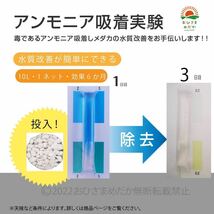 初心者に【アンモニア吸収石　1ネット】めだか　PSB　メダカ卵　針子　稚魚　鯉　金魚　クロレラ　熱帯魚ミジンコ　ゾウリムシ にどうぞ_画像3