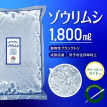 【ゾウリムシ　種水　増量中　1800ml　送料無料】 めだか　メダカ　針子 らんちゅう ベタ 稚魚 　psb　 金魚　ミジンコ　クロレラ　などに_画像1