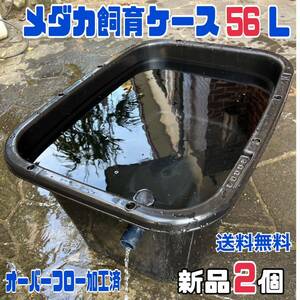 ★メダカ飼育ケース2個 黒56Lオーバーフロー加工済★ メダカ飼育容器金魚飼育ビオトープゾウリムシPSB台風豪雨対策にどうぞ