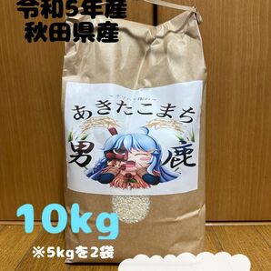 農家直送　令和5年産　秋田県産　あきたこまち　10キロ