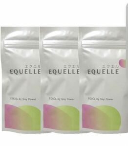 エクエル 大塚製薬 EQUELLE 3袋セット