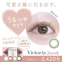 ヴィクトリア 2week by キャンディーマジック Victoria 1箱 6枚入り 度あり 度なし 2週間 カラコン キャンマジ_画像7