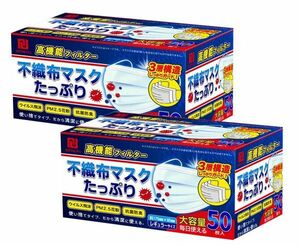 送料300円(税込)■fa628■高機能フィルター 不織布マスク 50枚入　2箱【シンオク】