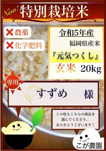 すずめ様専用　福岡県産「元気つくし」令和５年産　玄米20kg