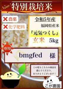 bmgfed様専用　準自然米　福岡県産「元気つくし」令和５年産　玄米5kg