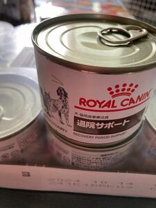 ロイヤルカナン退院サポート缶詰　犬猫用　2024.10賞味期限　値引きご相談ください