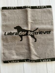 未使用　Labrador Retrieverハンドタオル