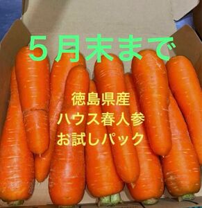 徳島産　春人参　コンパクトBOX