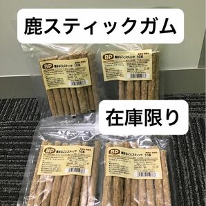 鹿　まるごとスティック　40本　歯みがき　ガム　アレルギー　犬　おやつ　在庫限りで終了