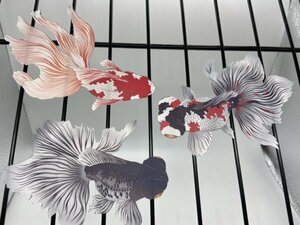日本画オリジナルステッカー　金魚セット　Lサイズ　UV耐水　輪郭カット済み