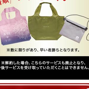 LAVA SUKALA エコバッグ2つとサコッシュ