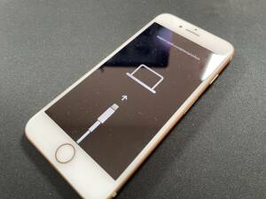 【ジャンク 部品取り】iPhone 8 64GB ゴールド アクティベーションロック SIMロック解除 SoftBank A1906 SIMフリー 制限〇(NHA95-1)