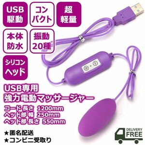 シングル＊ハンディマッサージャー＊USB＊マッサージ器＊ローター＊極小マッサージ器＊バイブレーター＊モバイルマッサージャー＊健康美容